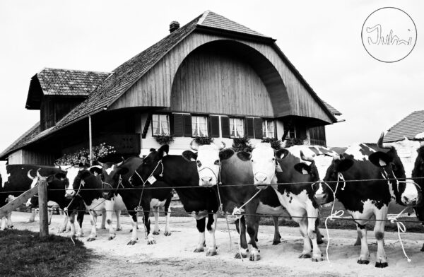 Formule Premium raclette Suisse 🇨🇭 avec charcuterie (par personne)